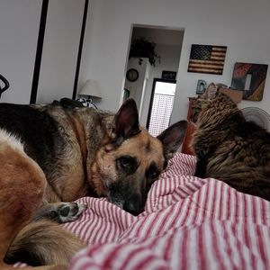 Meet your Posher, Dyeann